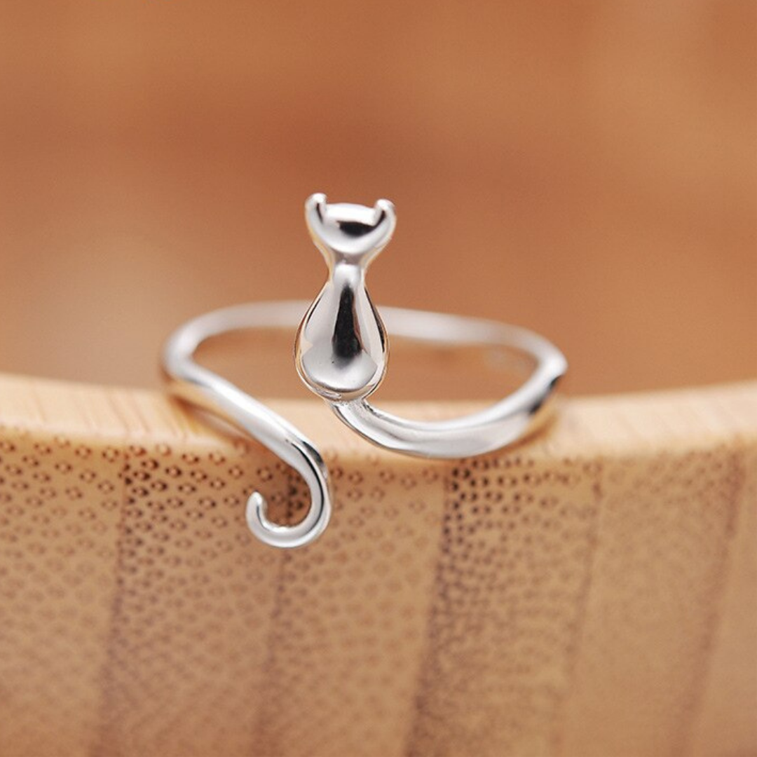 Zilveren kater in Boots Ring