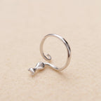 Zilveren kater in Boots Ring